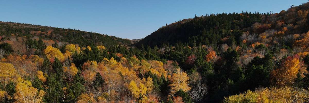 How Can We Support Our Students While Learning the Mi’kmaw Language – Module 8