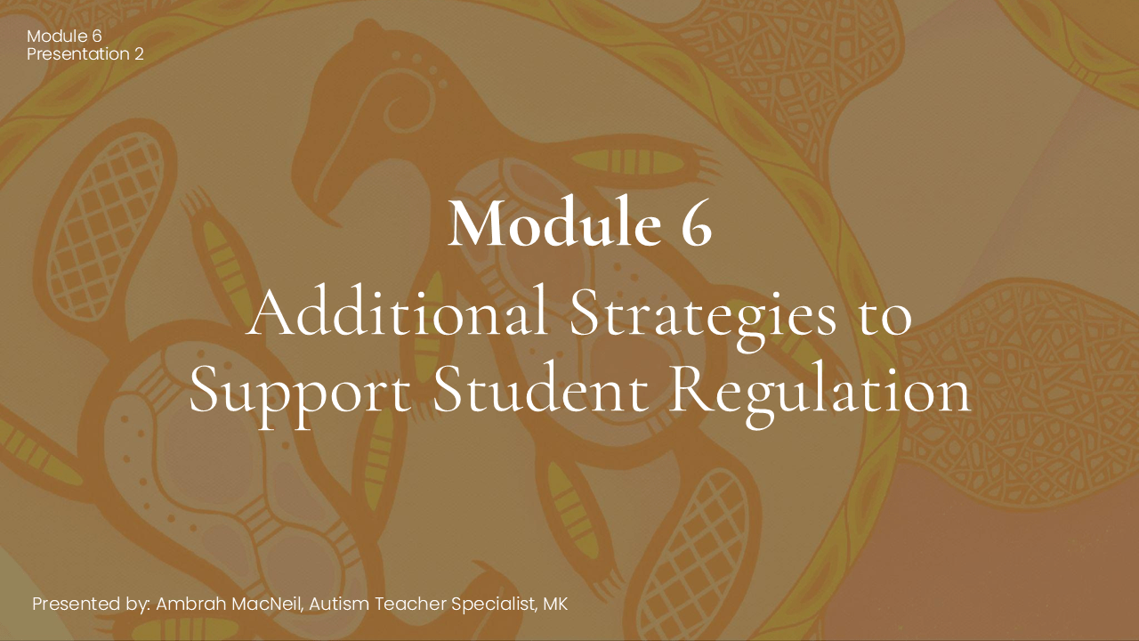 Strategies for Understanding and Supporting Regulation - Module 6