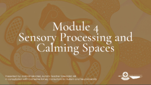 Sensory Processing and Calming Spaces Module 4